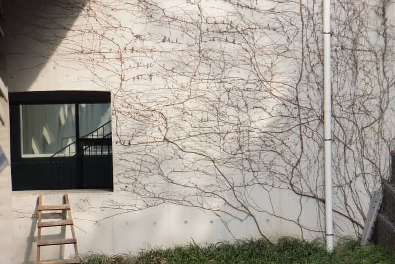 Soongsil University Campus Architecture - Image 1
