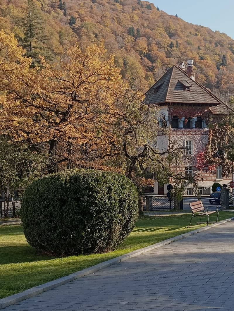 Sinaia Historic Villa and Autumn Slopes - Image 1