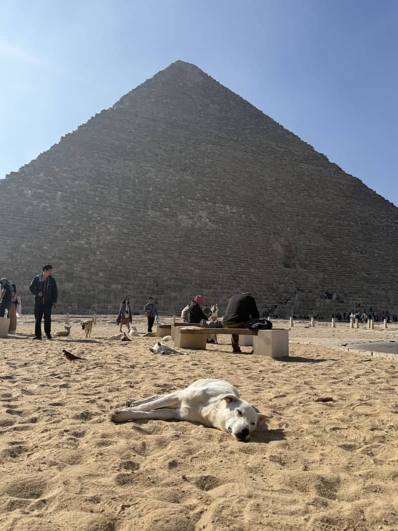Great Pyramid of Giza - Image 1
