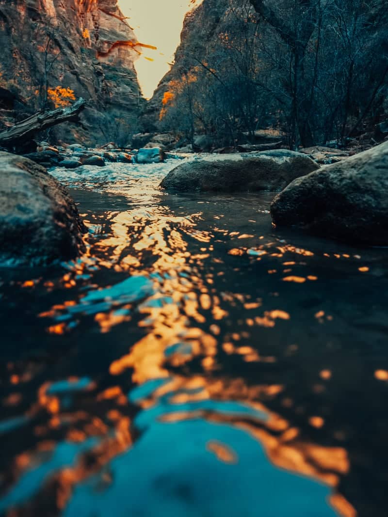 Virgin River at Watchman Trail - Image 1