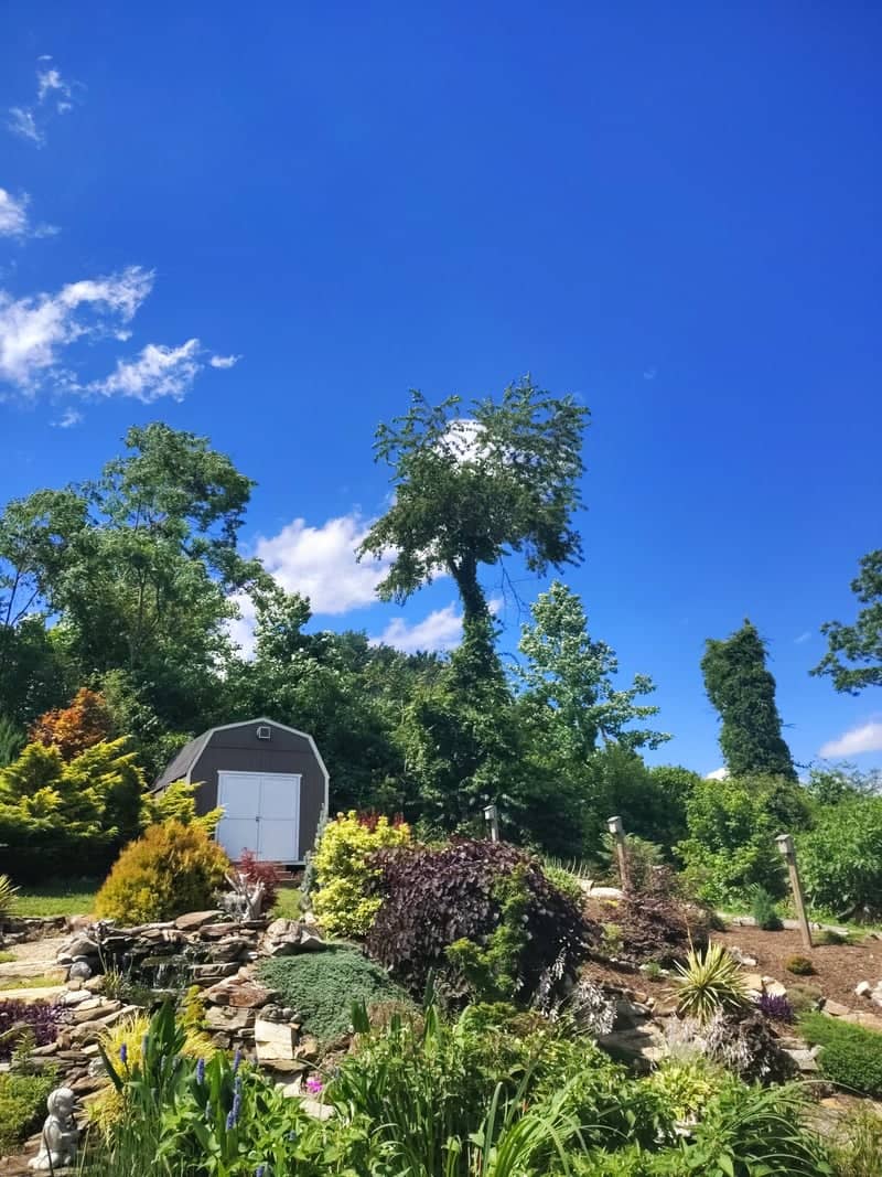 Hendersonville Garden View - Image 1