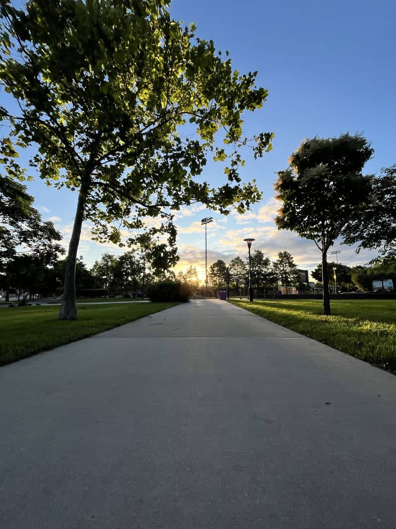 Lincoln Park - Image 1