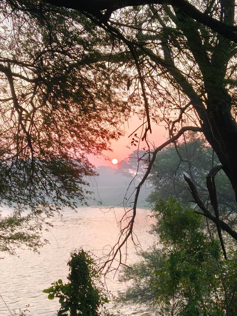 Kadi Lakeside Sunset - Image 1