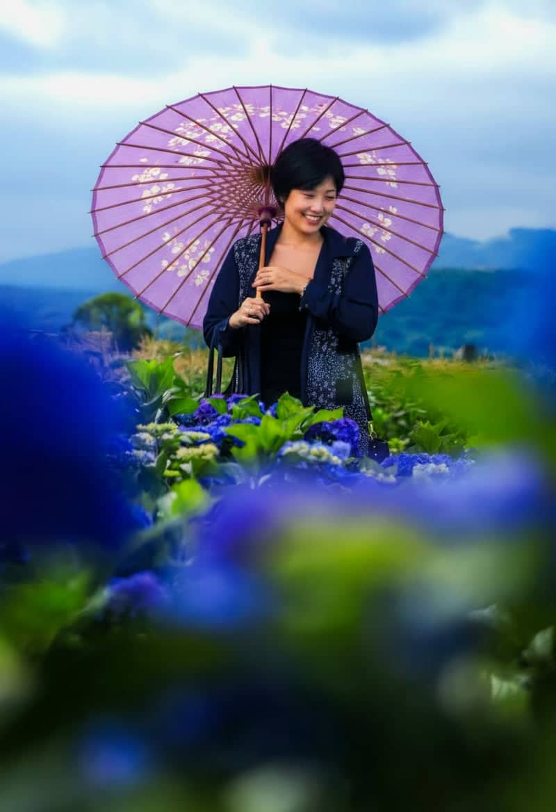 Kaisei Hydrangea Village - Image 1