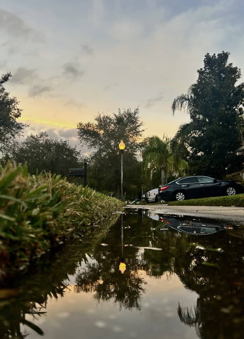 Black Lake Boulevard Reflection Spot - Image 1