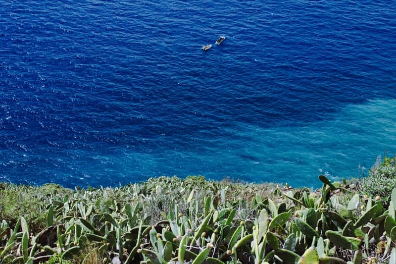 Garajau Coastal Cliffs - Image 1