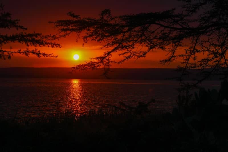Lake Elmenteita Sunset - Image 1