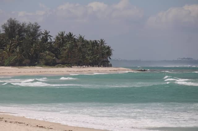Diani Beach Coastline - Image 1
