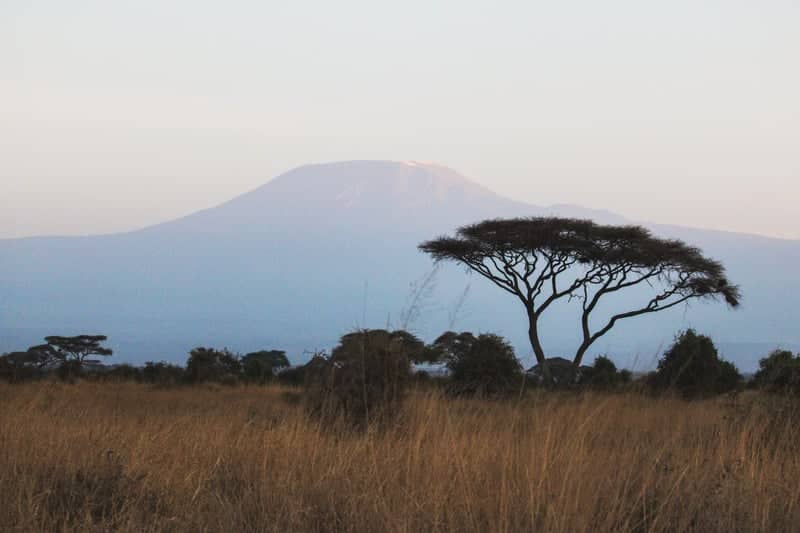 Mount Kilimanjaro View from Entonet - Image 1