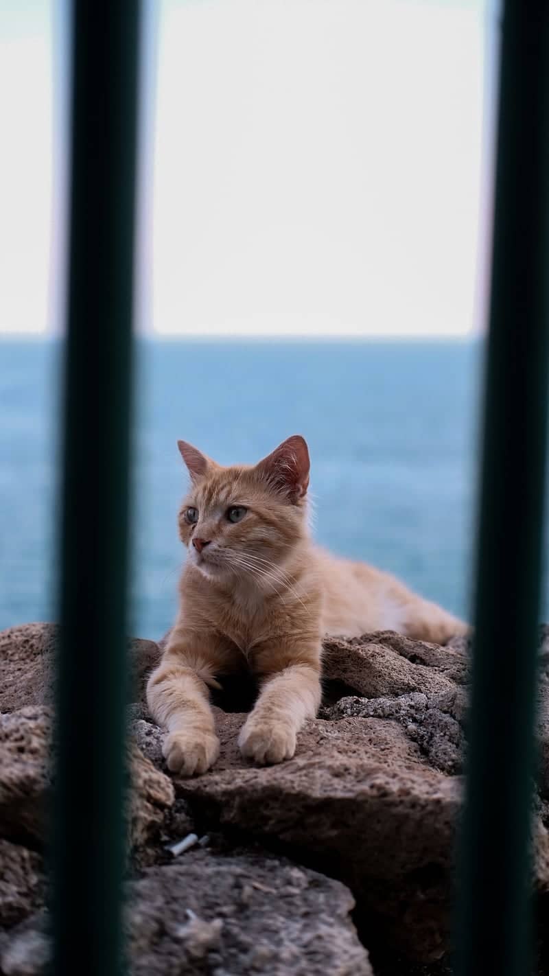 Kaleiçi Waterfront - Image 1