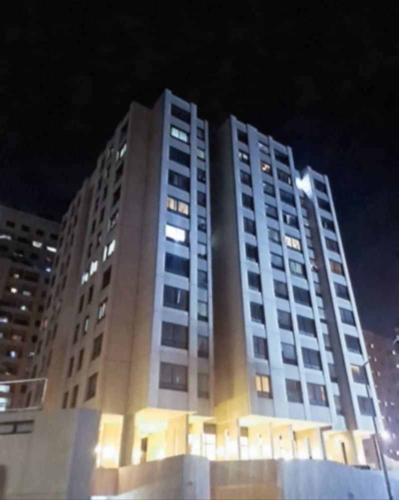 Abu Halifa Modern High-Rise - Image 1