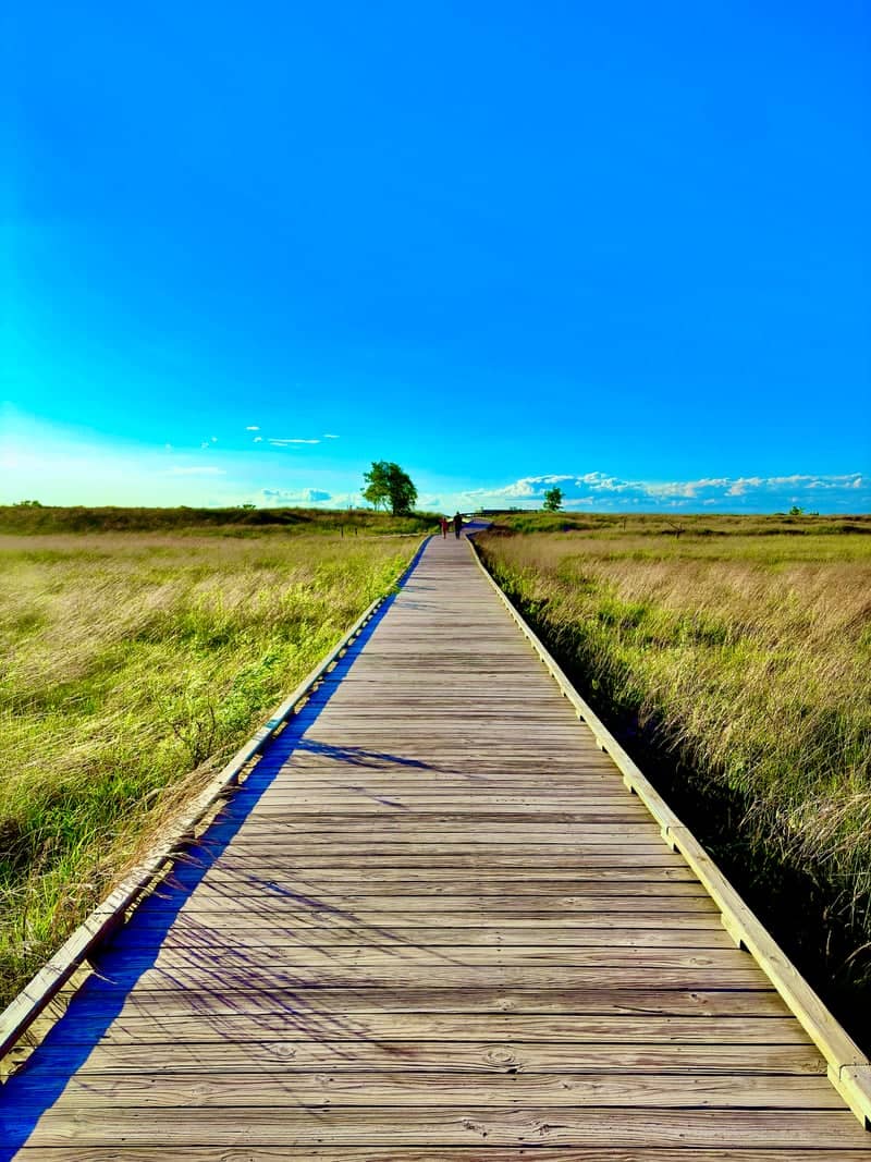 Headlands Dunes State Nature Preserve Boardwalk - Image 1