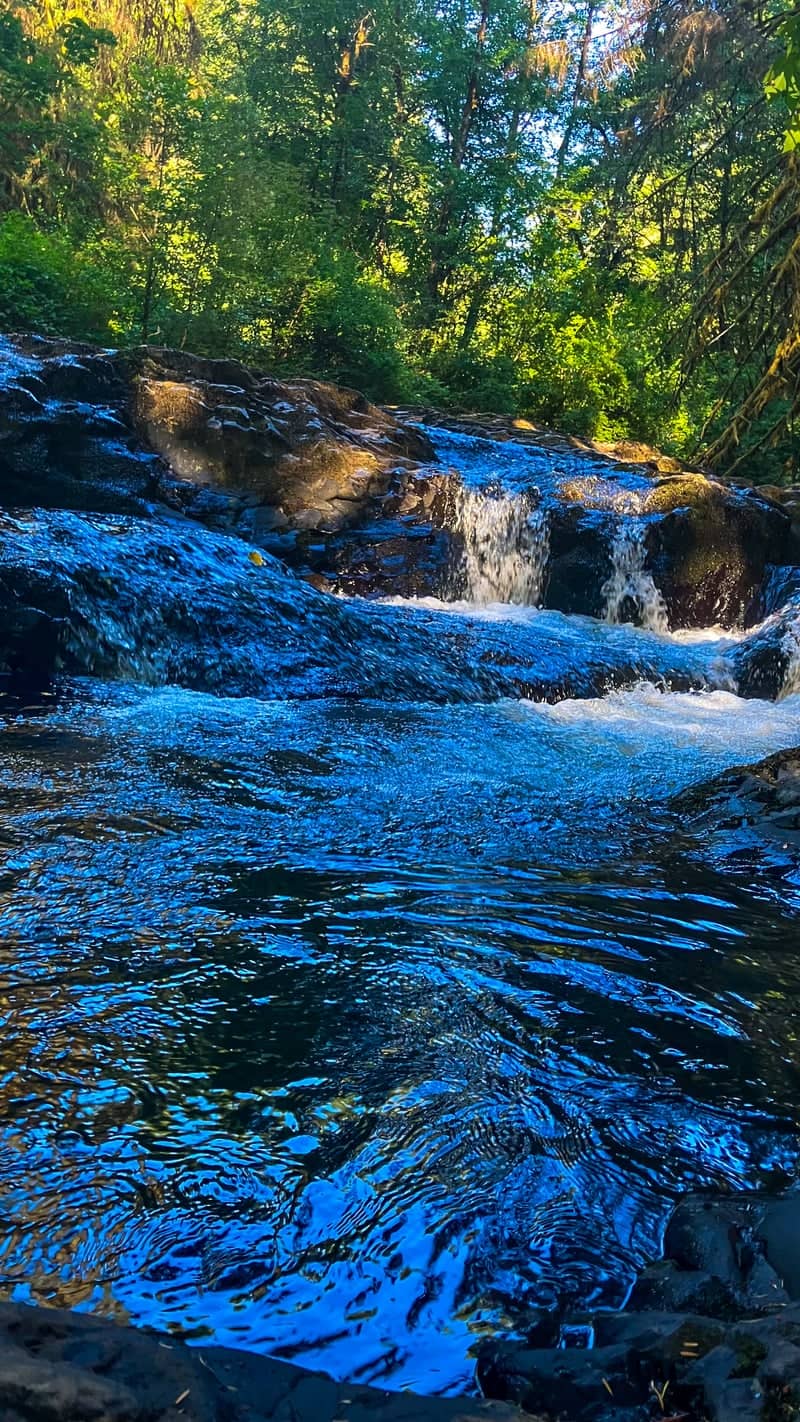 Woodland Cascade at Oregon - Image 1