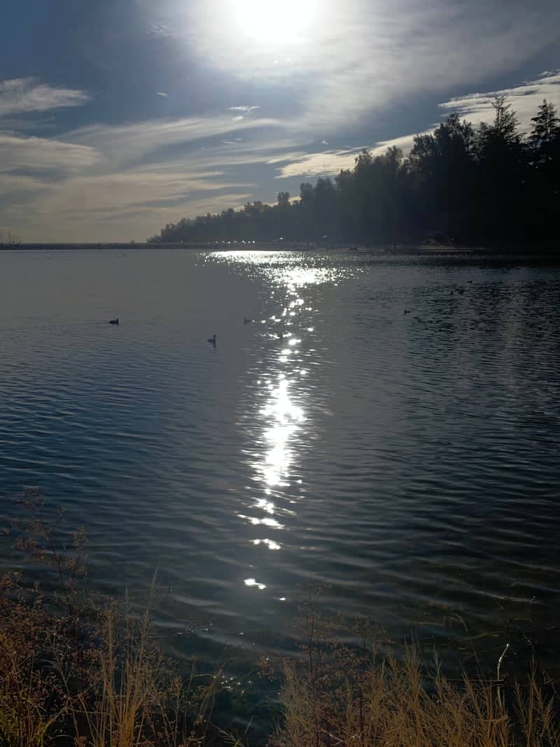 Yucaipa Regional Park Lake - Image 1