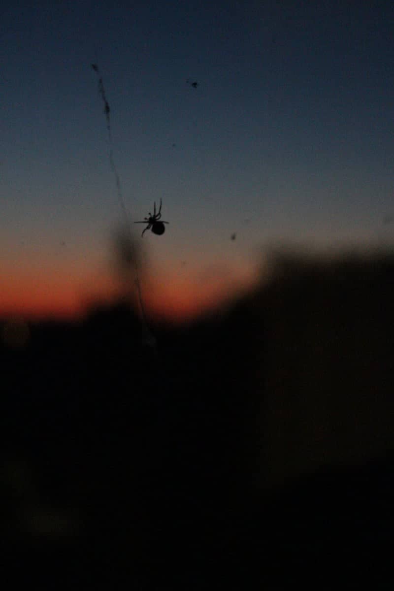 Navan Sunset Window View - Image 1