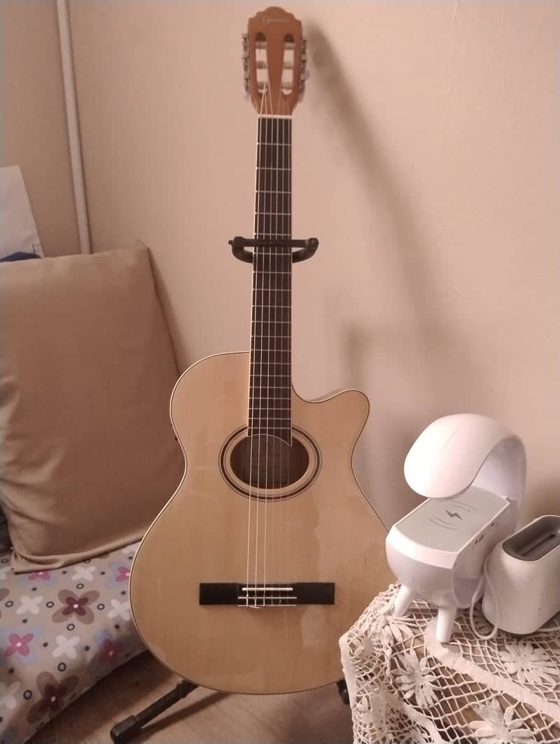 Acoustic Guitar Interior - Image 1