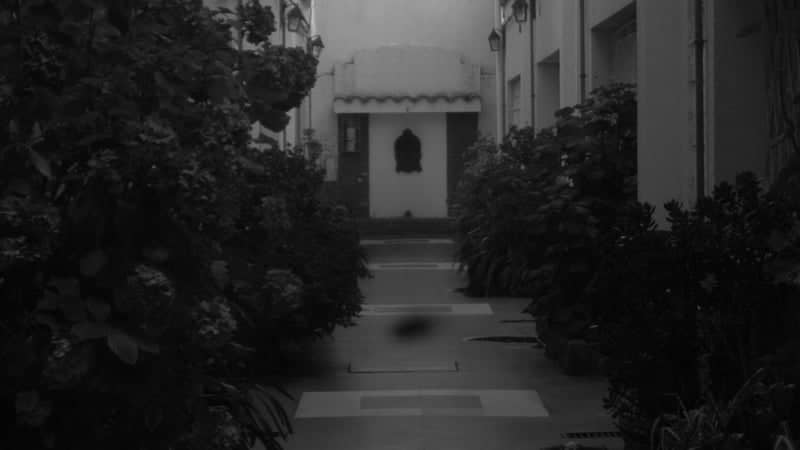 Mar del Plata Garden Courtyard - Image 1