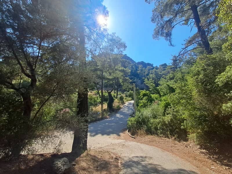 Beldibi Forest Road - Image 1