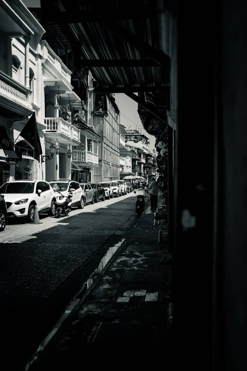 Avenida Daniel Lemaitre Streetscape - Image 1