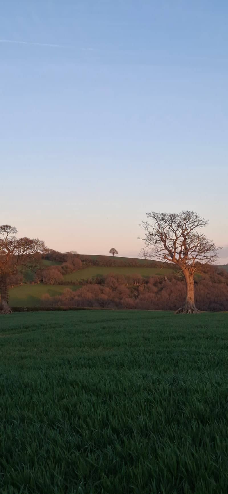 Ascot Countryside Hills - Image 1