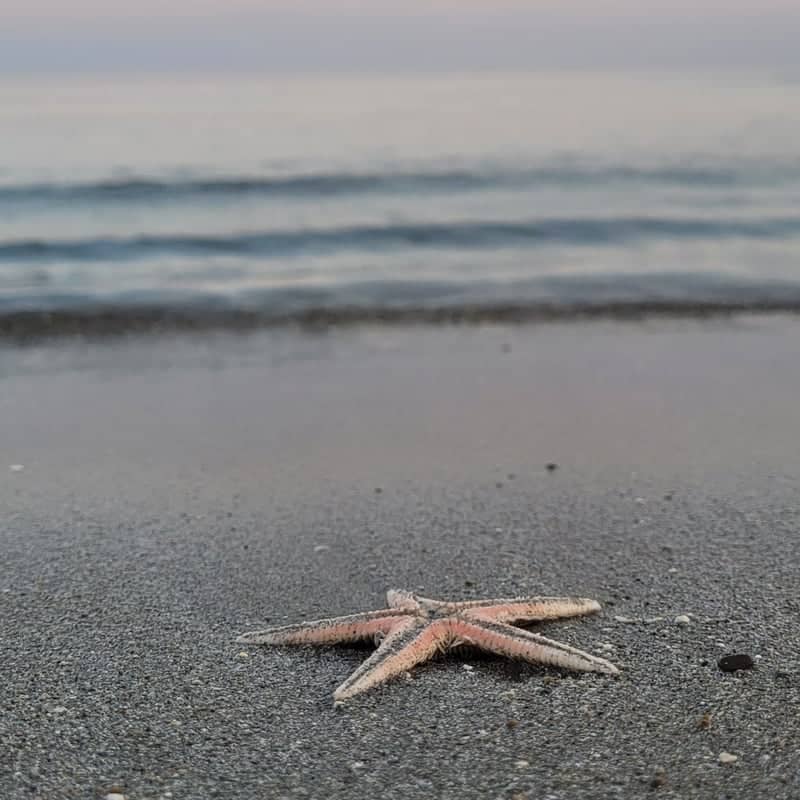 Kalamaki Beach - Image 1