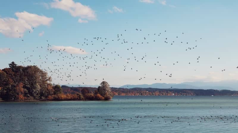 Lake Starnberg at Feldafing - Image 1