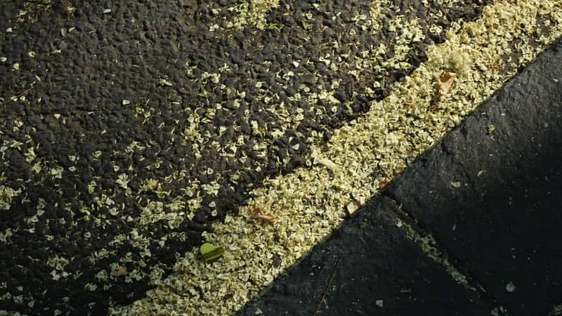 Rue Pépinet Urban Textures - Image 1