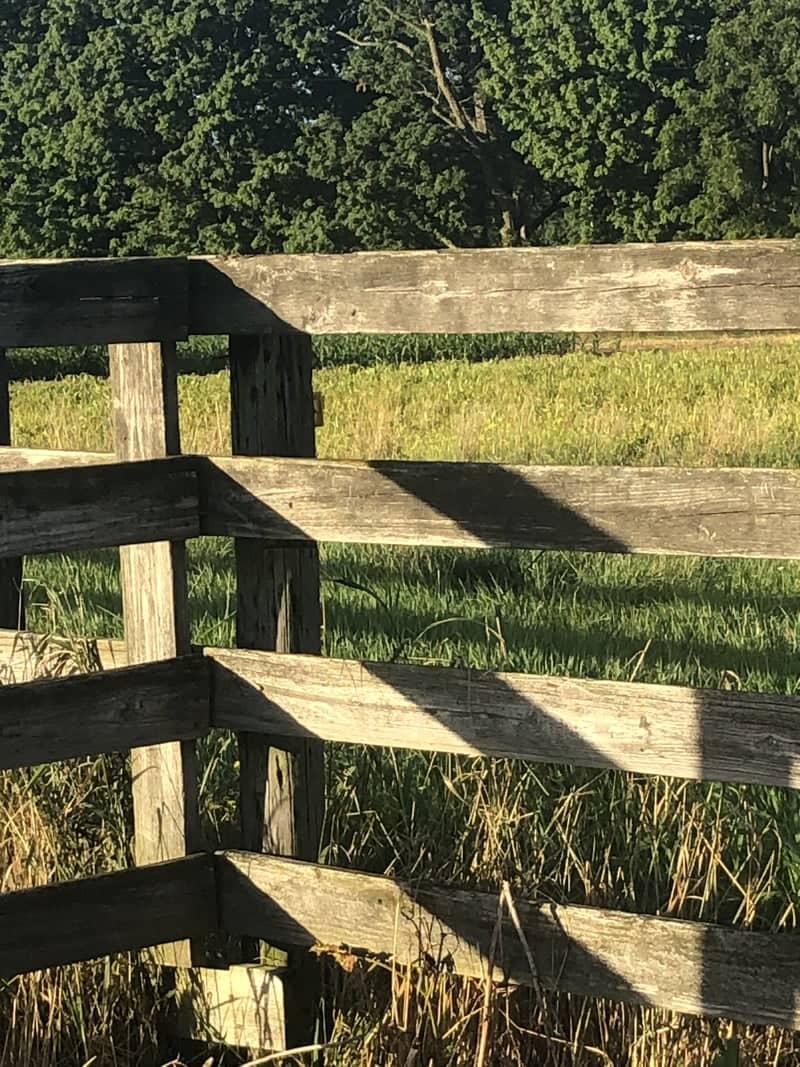 Middlebury Rural Farmland - Image 1