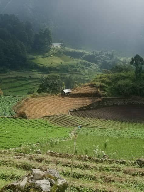 Ngancar Terraced Fields - Image 1