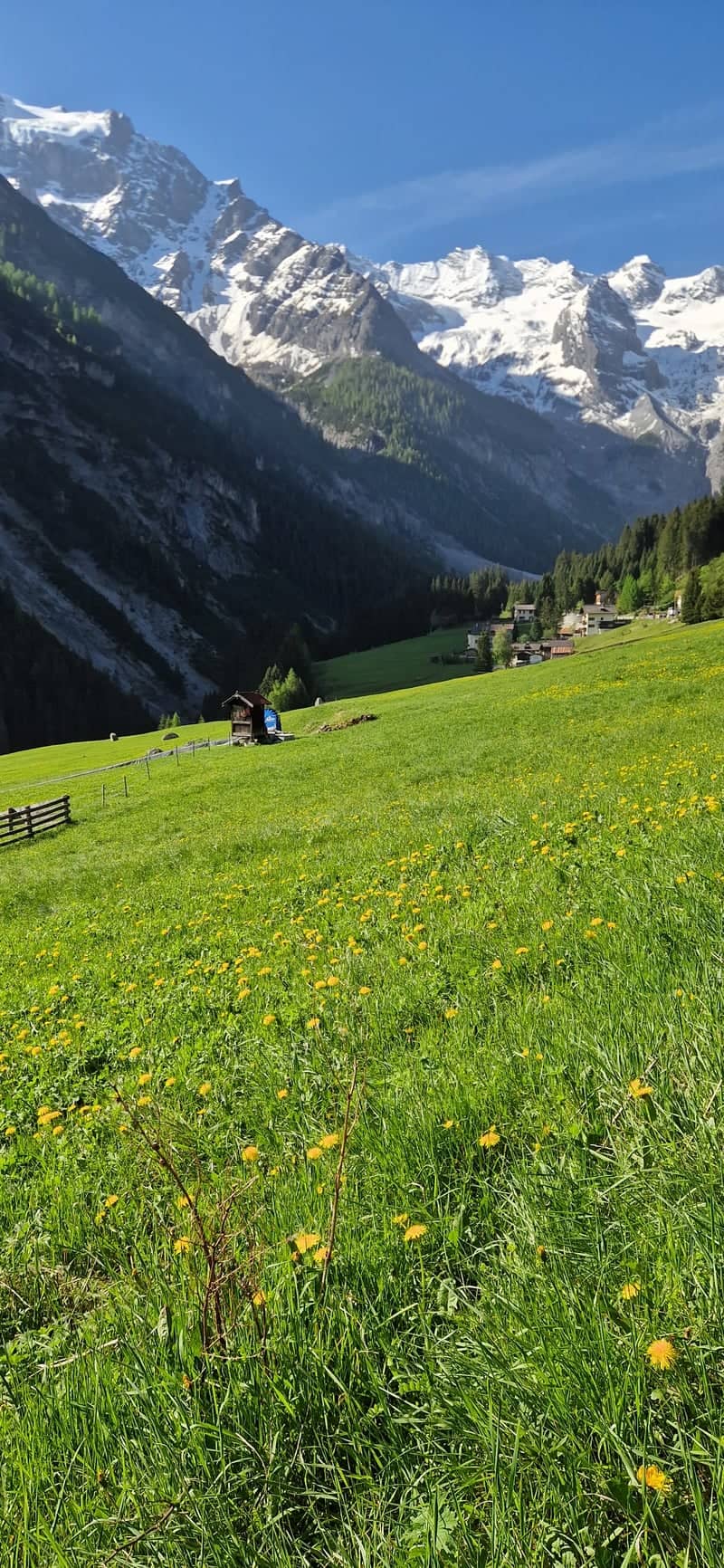 Trafoi Valley & Ortler Alps - Image 1