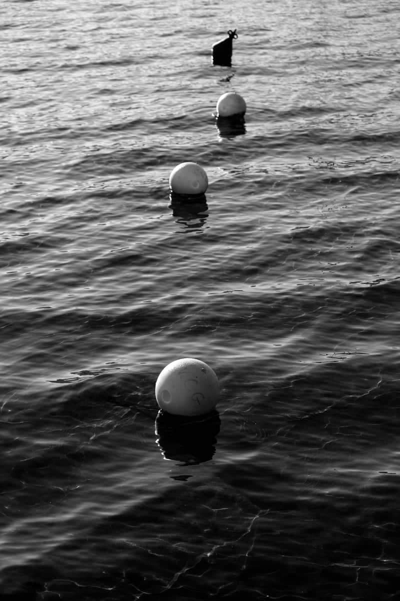 Lake Albano Shoreline - Image 1