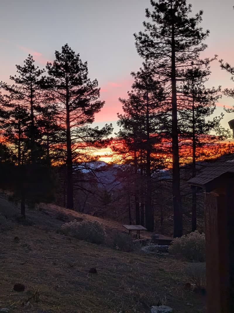 Mountain Pine Sunset Overlook - Image 1