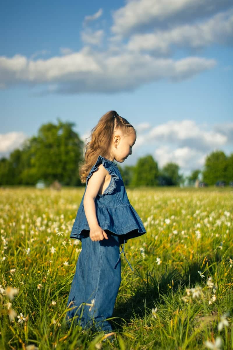 Vlăhița Daffodil Meadow - Image 1