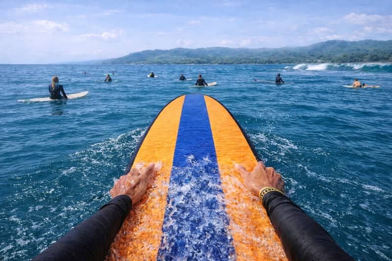 Tropical Surf Lineup - Image 1