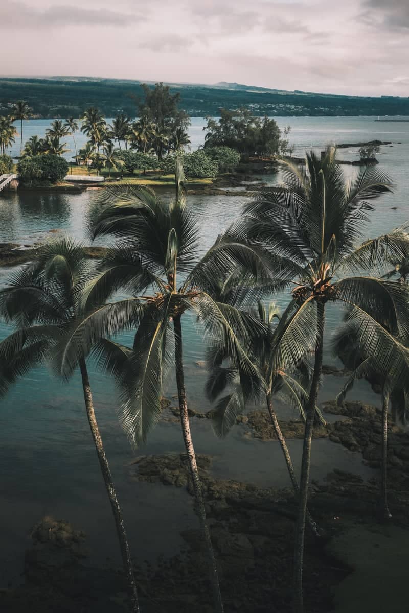 Hilo Bay Vista - Image 1