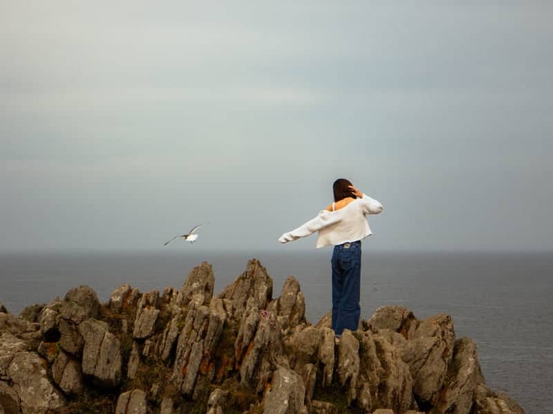 Rocky Coastal Overlook - Image 1