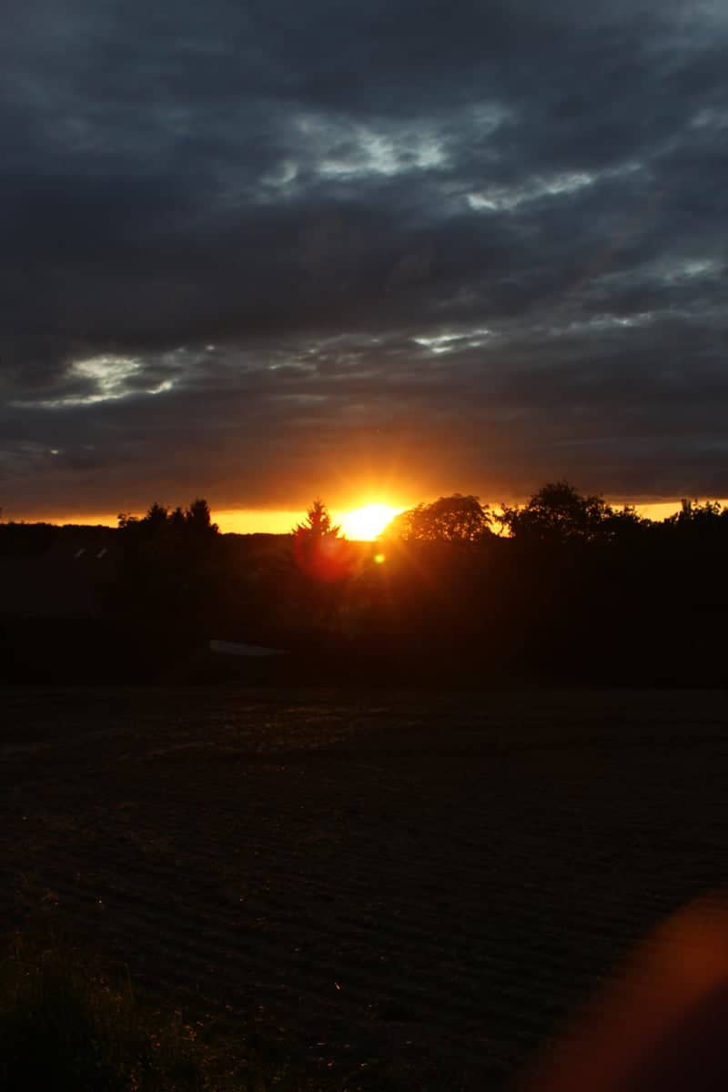Hallertau Countryside Sunset - Image 1