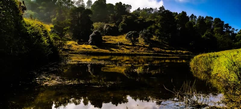 Nilgiri Hills Lake - Image 1