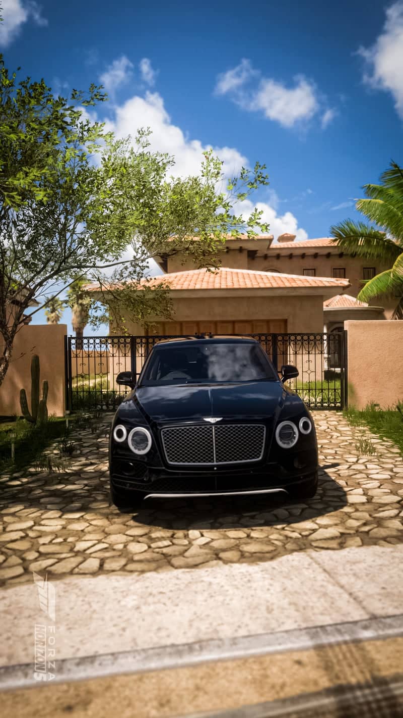 Mediterranean Villa Driveway - Image 1