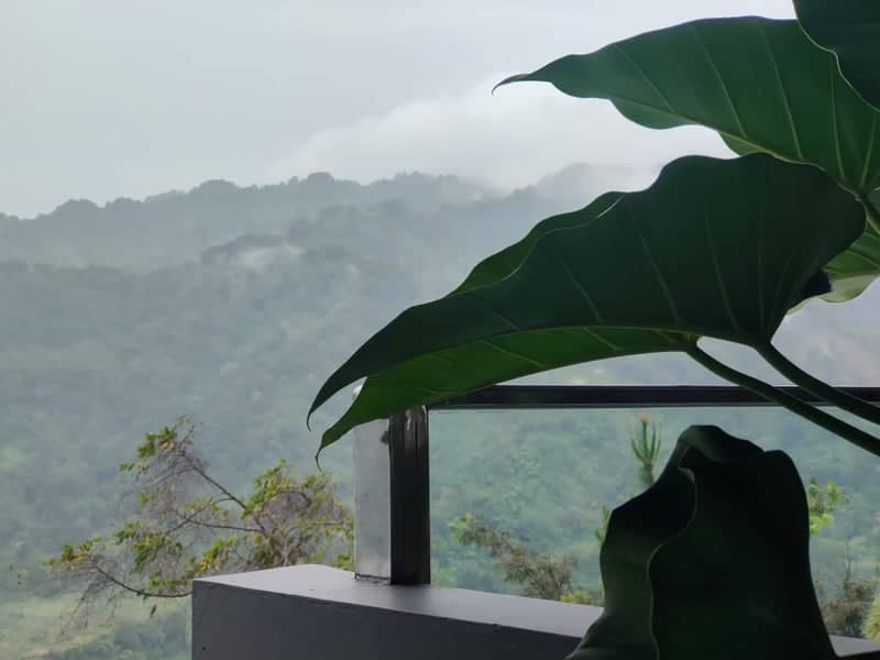 Misty Bogor Hillside - Image 1