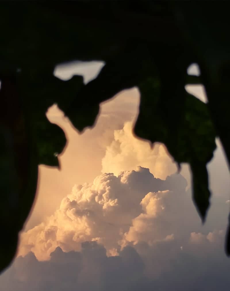 Wayanad Cloudscape Overlook - Image 1