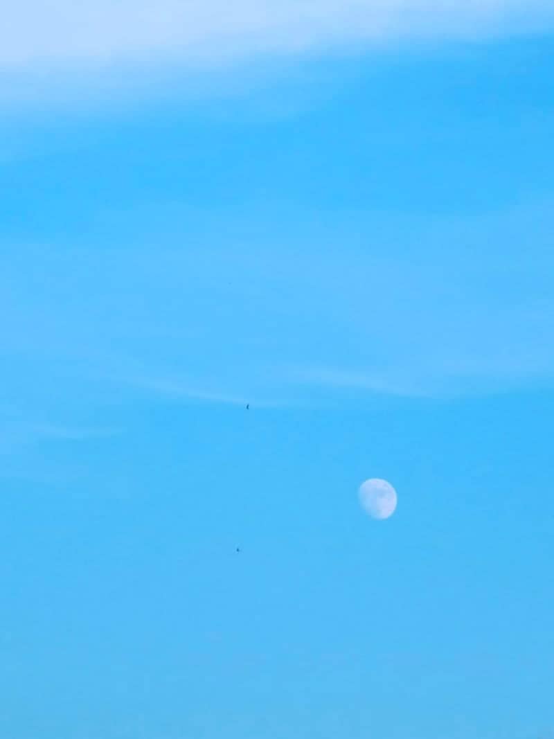 Daytime Moon over Envie - Image 1