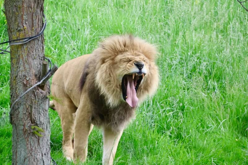 Fort Wayne Children's Zoo - Image 1