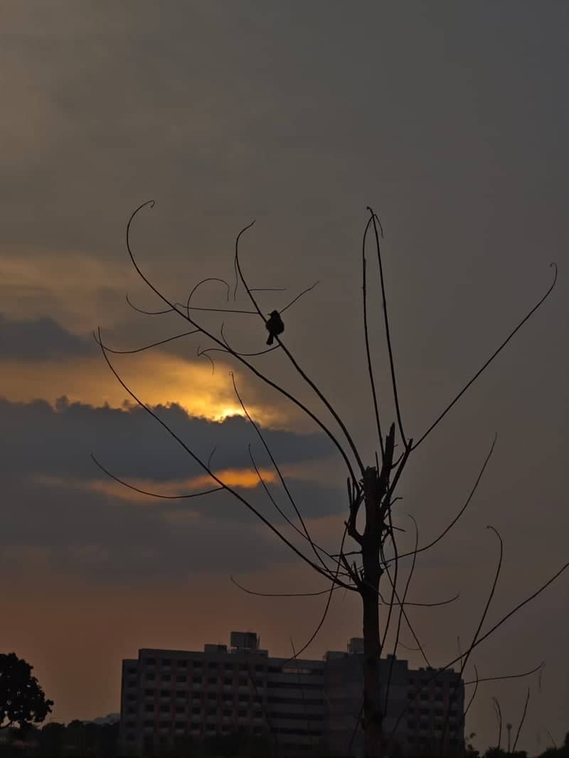 Ashta Sunset Viewpoint - Image 1