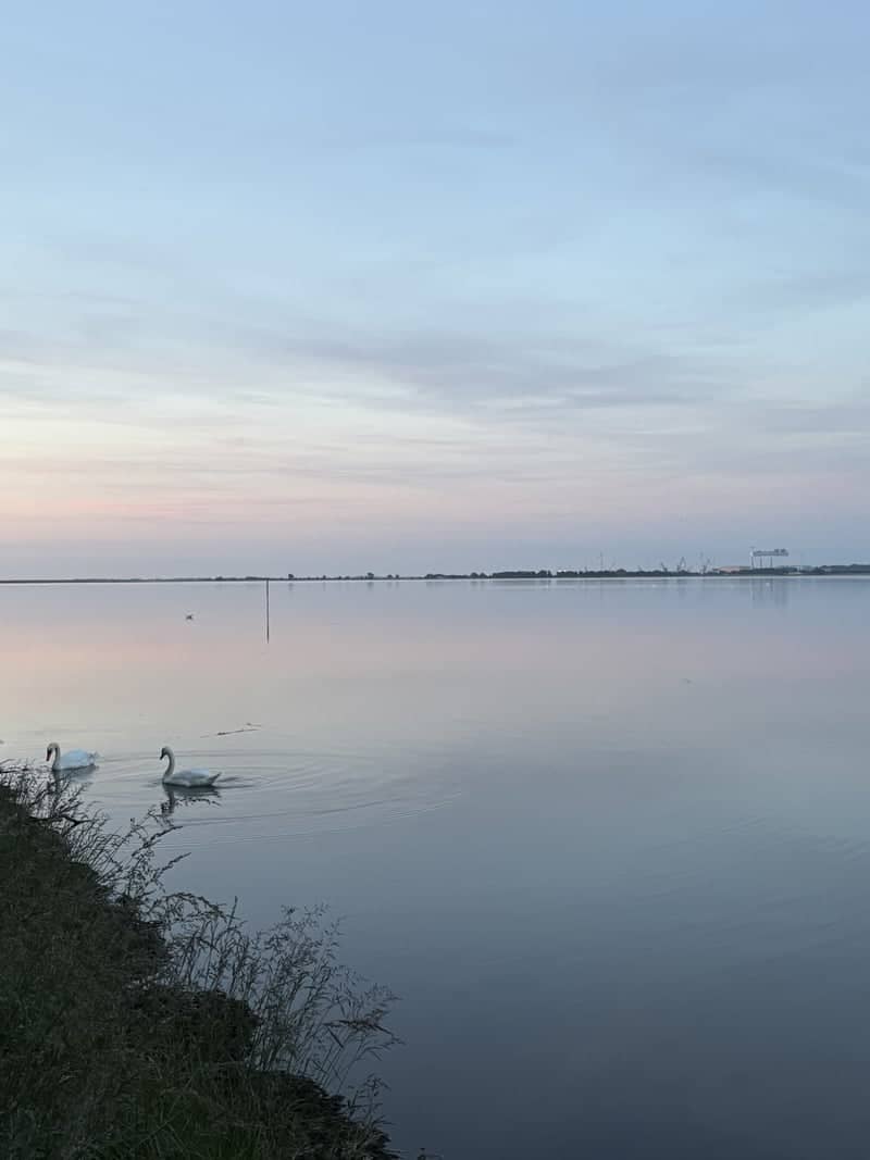 Odense Fjord Waterfront - Image 1