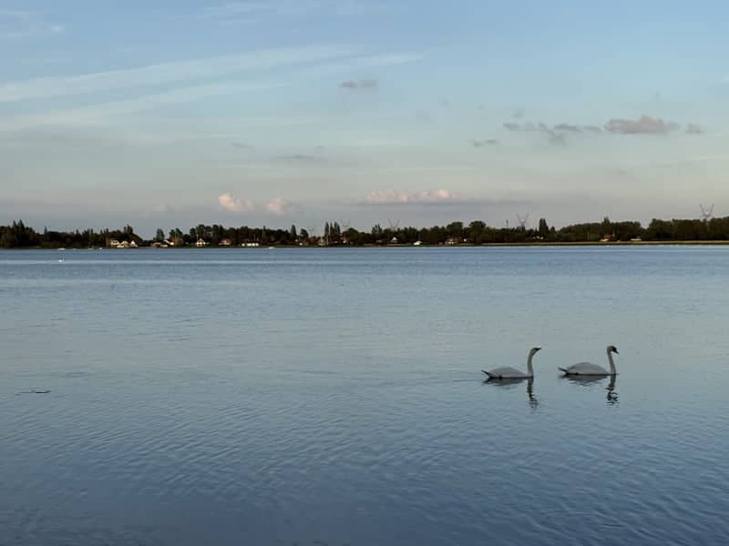 Odense Canal Waterfront - Image 1