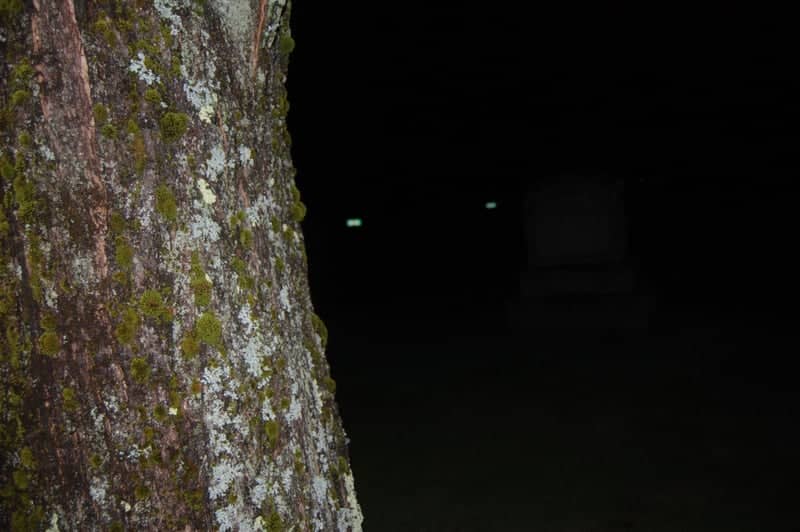 Rochester Cemetery - Image 1
