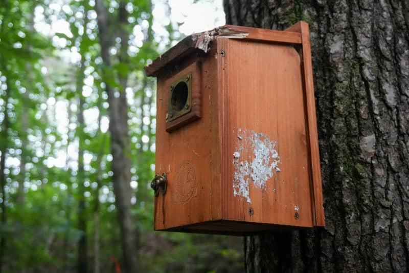 Gravel Hill Woodland Trail - Image 1