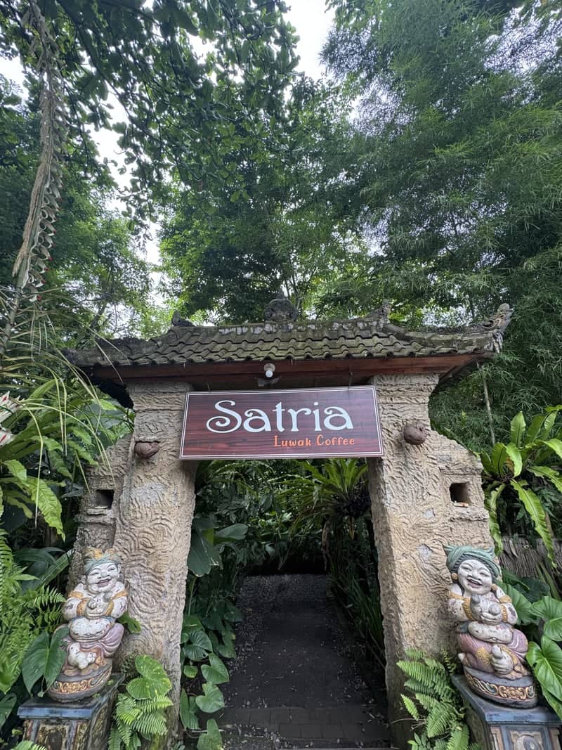 Satria Coffee Plantation - Image 1