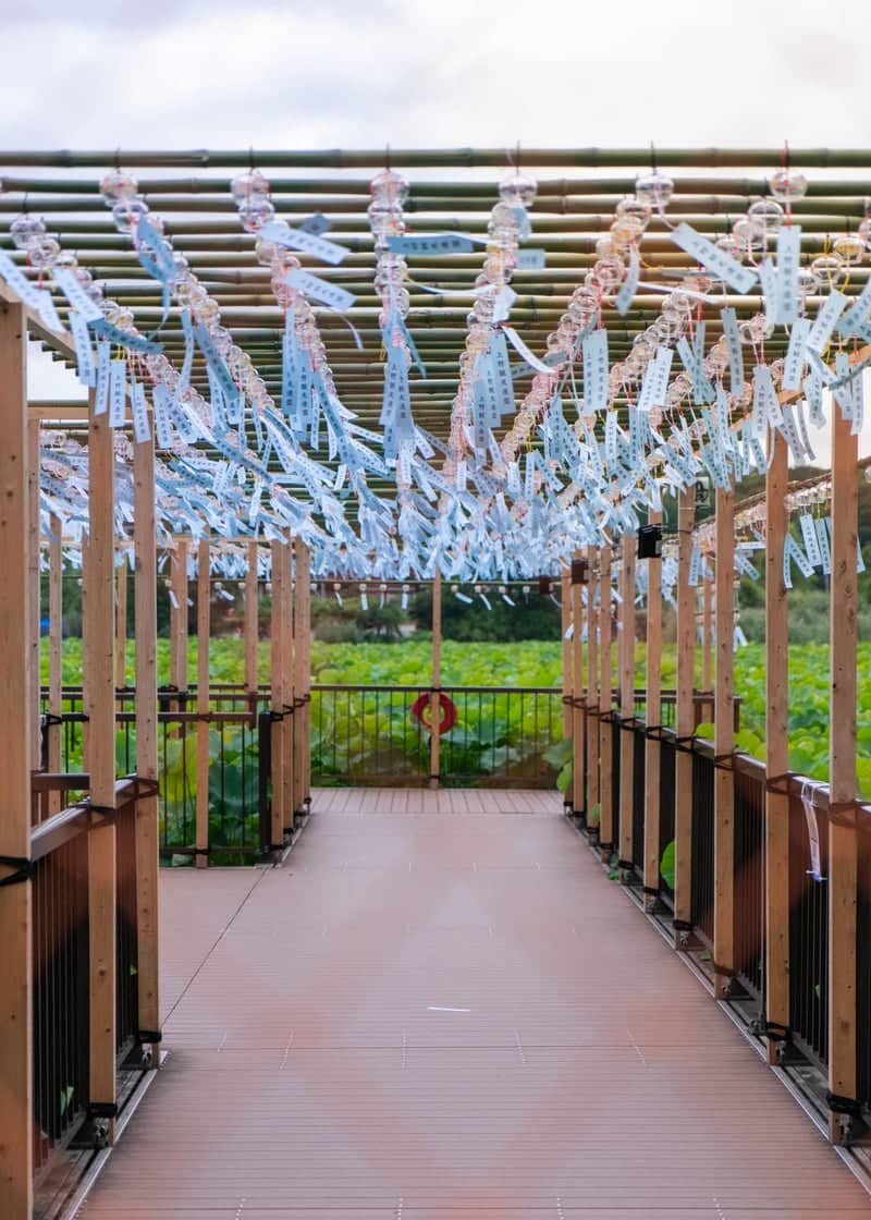 Shinobazu Pond Wind Chime Walkway - Image 1